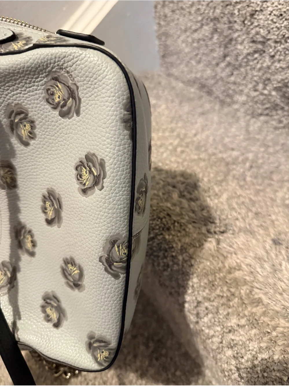 Coach Camera Bag with Rose Print, crafted from polished pebble leather.